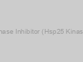 MAPKII Kinase Inhibitor (Hsp25 Kinase Inhibitor)